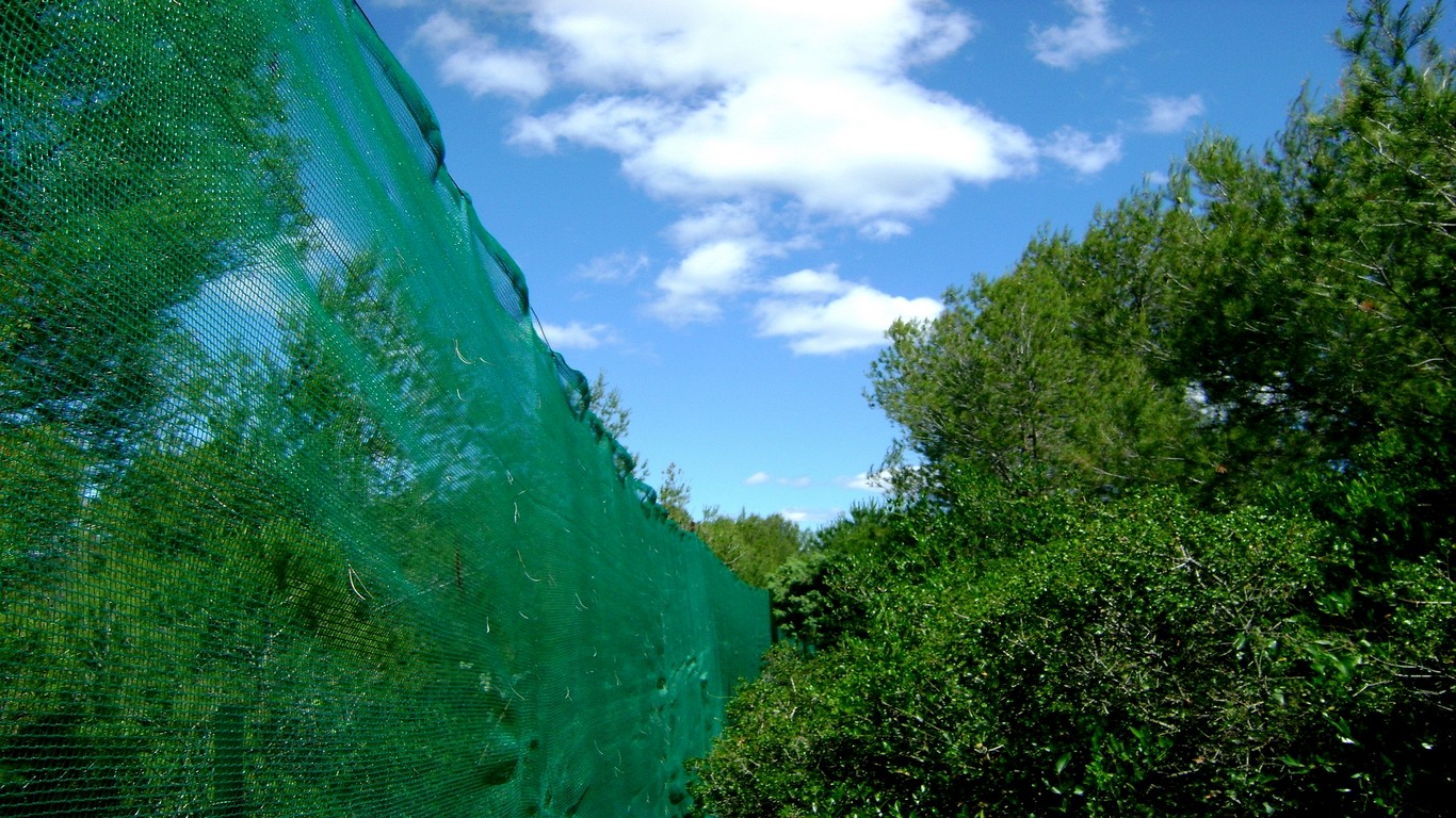paintball montpellier foret